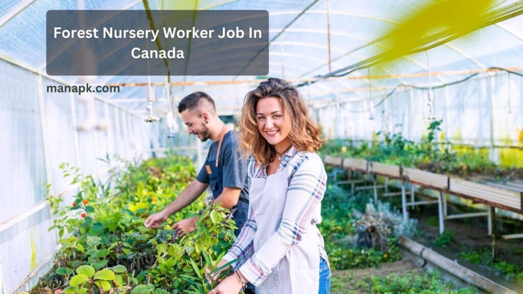 Forest Nursery Worker Jobs in Canada